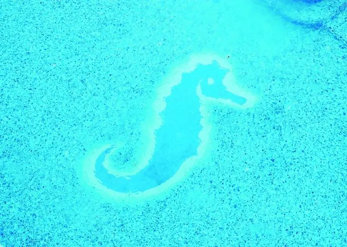 シーサイド サンディ ビーチ ホテル 4*