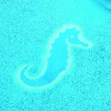 Seaside Sandy Hotel 4*